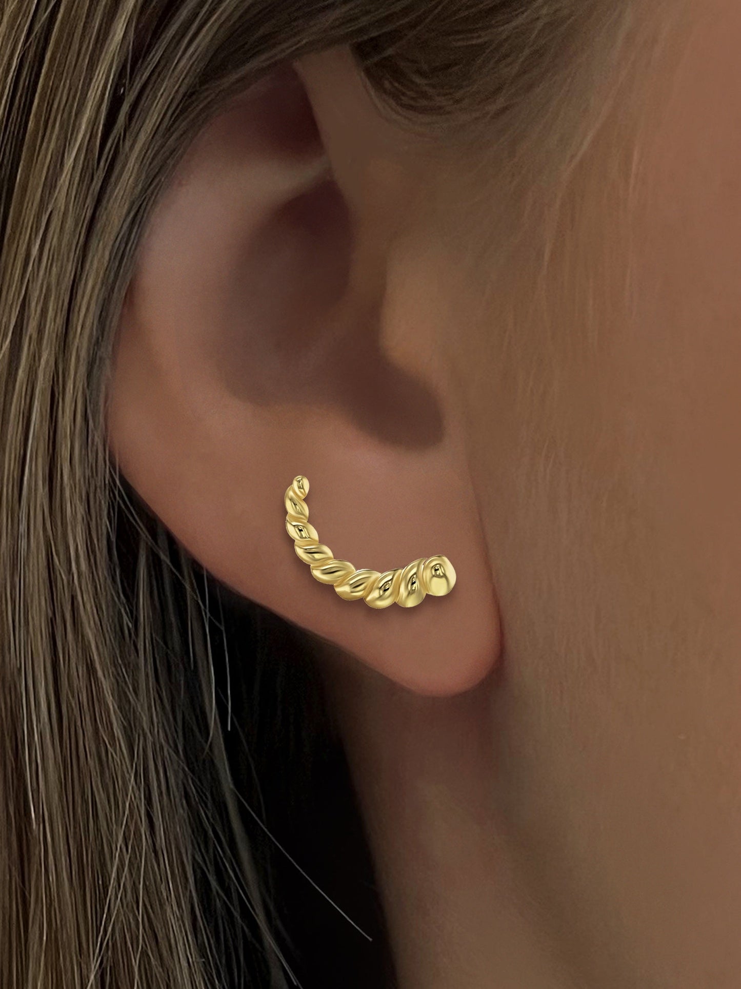 Ônessa earrings